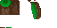 Common Minecraft cape